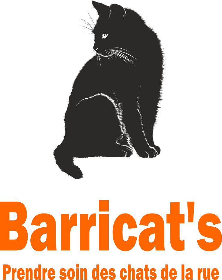 Logo Barricat's